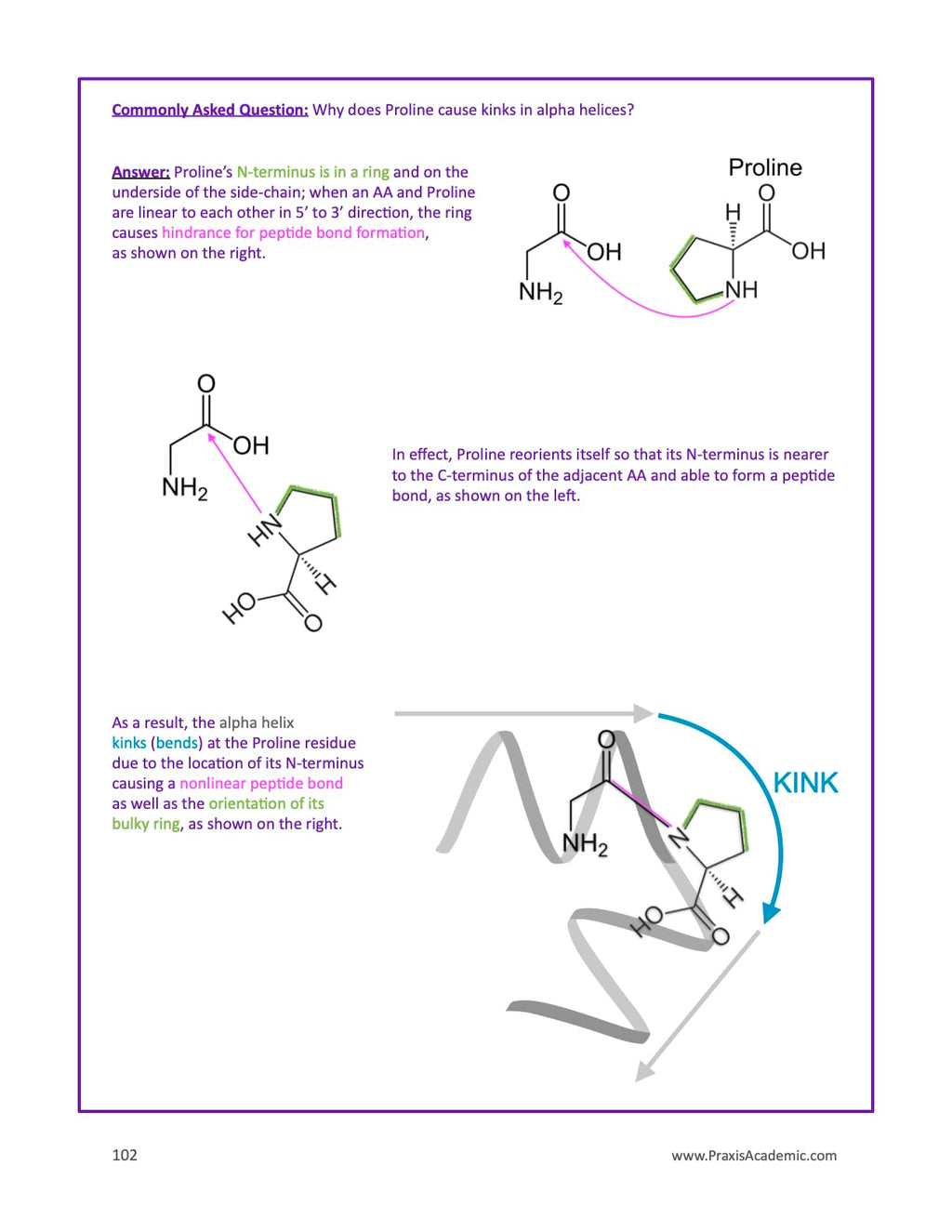 Everything You Didn't Know You Need To Know About Amino Acids and More To Score Higher On The MCAT: AAs for MCAT (Test Prep Supplement)