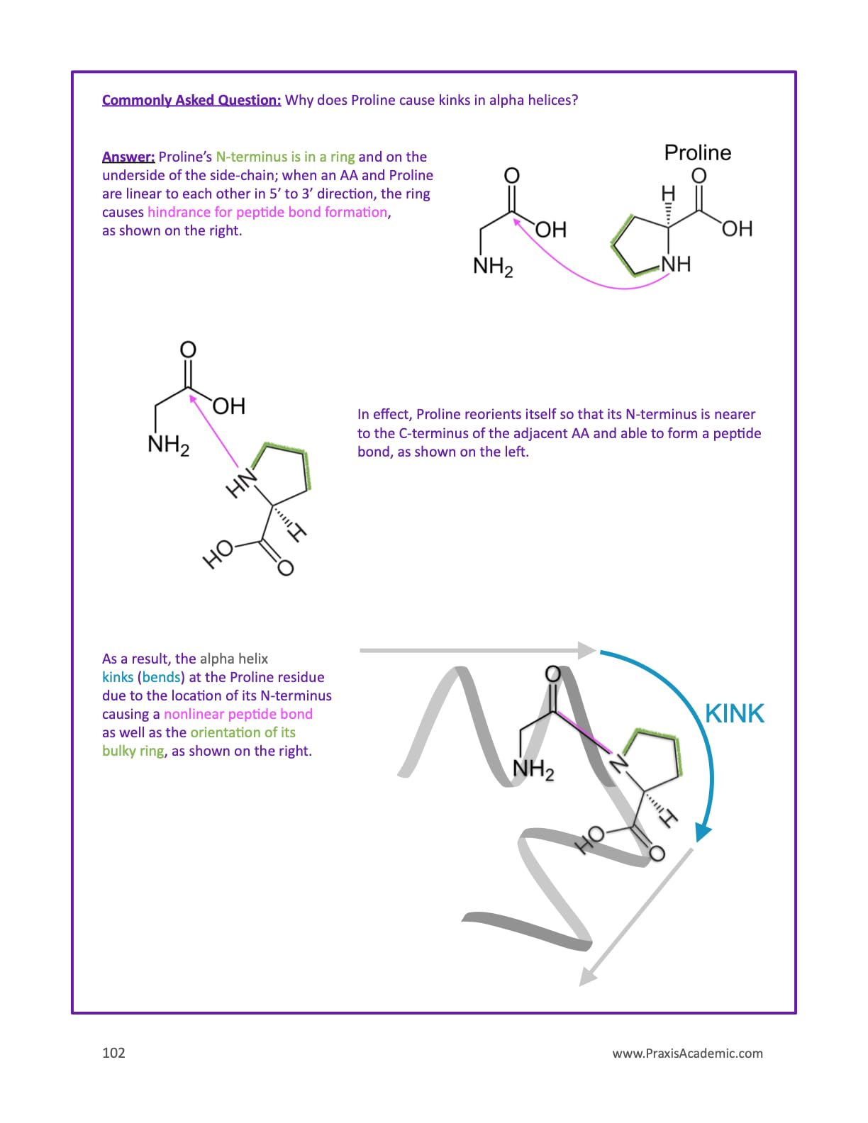 Everything You Didn't Know You Need To Know About Amino Acids and More To Score Higher On The MCAT: AAs for MCAT (Test Prep Supplement)