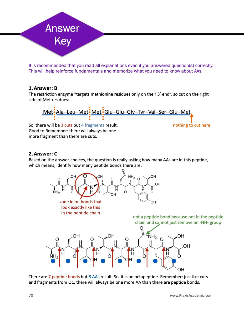 Everything You Didn't Know You Need To Know About Amino Acids and More To Score Higher On The MCAT: AAs for MCAT (Test Prep Supplement)