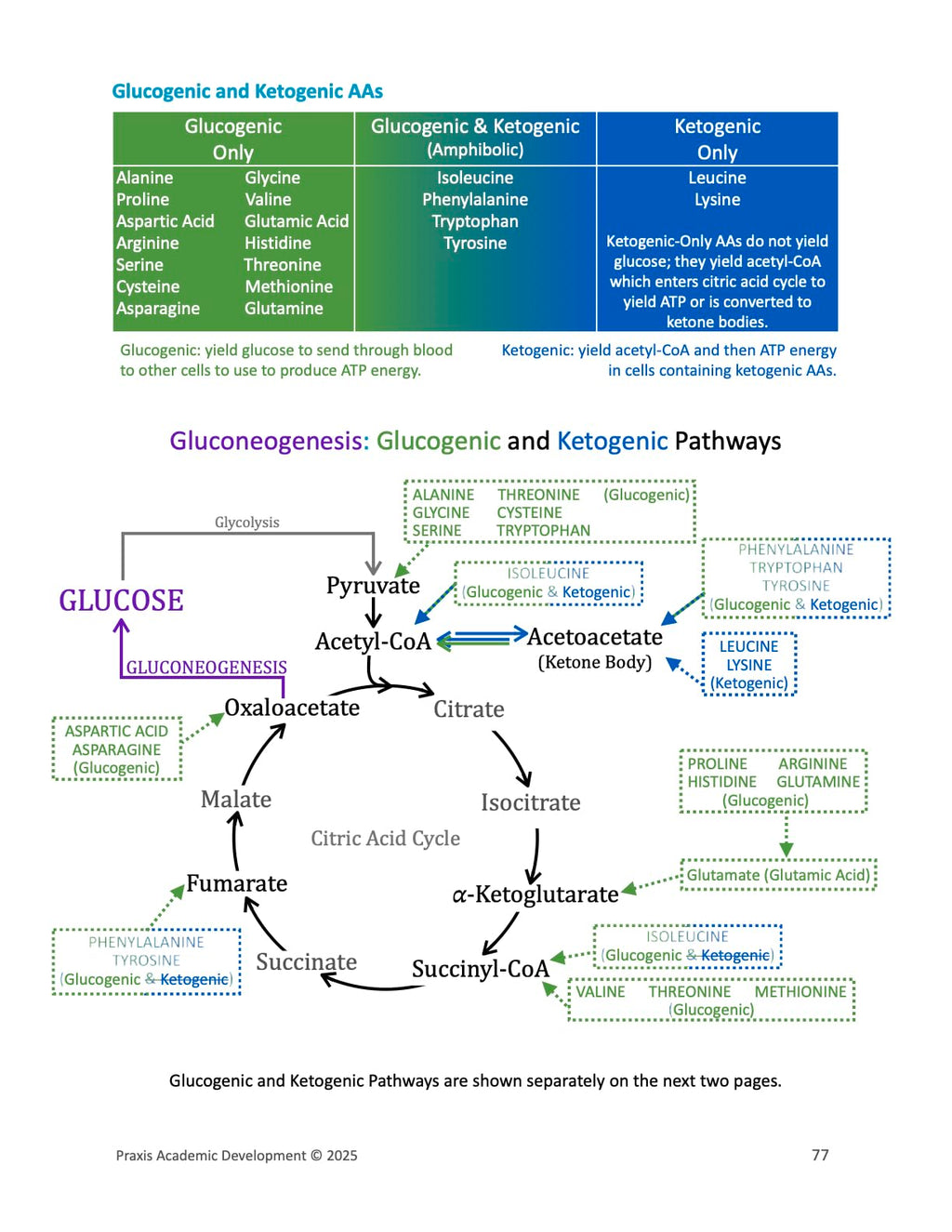 Everything You Didn't Know You Need To Know About Amino Acids and More To Score Higher On The MCAT: AAs for MCAT (Test Prep Supplement)